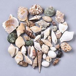 Natural Spiral Shell Pendants, Mixed Color, 20~76x10~53x10~34mm, Hole: 1.2~2mm