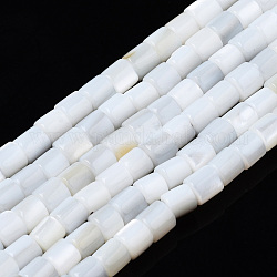 Natural Freshwater Shell Beads Strands, Column, 3x3mm, Hole: 0.9mm, about 135~139pcs/strand, 15.04 inch~15.55 inch(38.2~39.5cm)