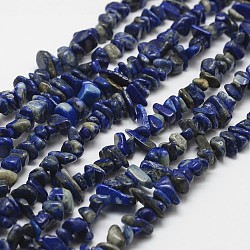 Filo di Perle lapis lazuli naturali , pezzo, blu, 3~5x7~13x2~4mm, Foro: 0.4 mm, 32 pollice
