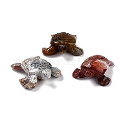 Natürliche mexikanische Achat-Display-Dekorationen, Schildkröte, 50~52x43~48x17~18 mm