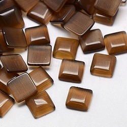 Cat Eye Cabochons, Square, Saddle Brown, 5x5x2mm
