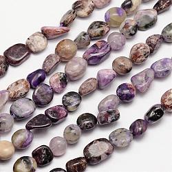 Charoïte naturel brins de perles, pierre roulée, pépites, 3~14x3~14mm, Trou: 1mm, environ 15.35 pouce