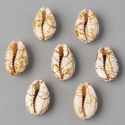 Perles de coquillage cauri naturelles, pas de trous / non percés, teint et drawbench, linge, 18~22x12~14x7~8mm
