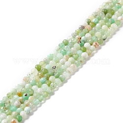 Hebras naturales de perlas de crisoprasa, facetados, redondo, 3mm, agujero: 0.6 mm, aproximamente 116 pcs / cadena, 15.35~15.59 pulgada (390~396 mm)