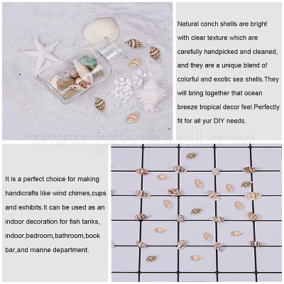 Натуральные спиральные бусы из ракушек&nbsp;SSHEL-PH0002-10-1