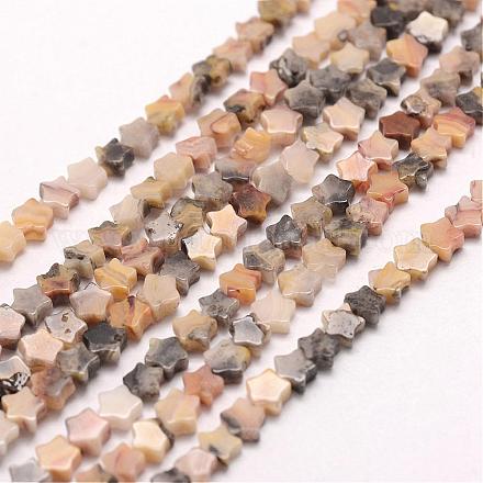 Chapelets de perles en agate fou naturel G-J365-09-1