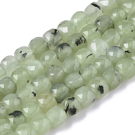 Chapelets de perles en préhnite naturelle G-R460-048-1