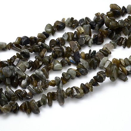 Natural Labradorite Beads Strands G-O049-A-46-1