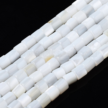 Eau douce naturelle de coquillage perles brins SHEL-N034-29A-01-1