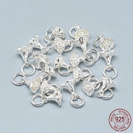 925 Sterling Silber Charme STER-T002-49S-1