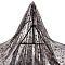 Flower Pattern Polyester Lace Fabric, Clothing Accessories, Black, 1300x0.1mm. 3 yards/pc