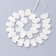 Perles de coquillage blanc naturel X-SSHEL-Q298-07-2