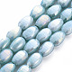 Mèches de perles de verre craquelé peintes au four opaque EGLA-S174-21A-1