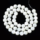 Chapelets de perles de coquille de trochid / trochus coquille SSHEL-S266-023A-03-2