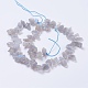 Chapelets de perles en labradorite naturelle G-F568-243-2