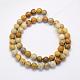 Natural Fossil Coral Beads Strands G-G697-F01-8mm-2