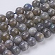 Natural Labradorite Beads Strands G-G212-10mm-23-1
