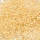 8/0 Transparent Glass Seed Beads SEED-F003-03B-14-3