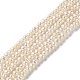 Natural Cultured Freshwater Pearl Beads Strands PEAR-E018-61-1