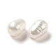 Perles acryliques en imitation perle ABS OACR-Z015-08-1
