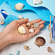 12 шт. 6 подвески в виде ракушек DIY-CD0001-39-6
