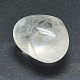 Natural Quartz Crystal Beads DJEW-F005-06I-3