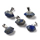 Lapis-lazuli naturelles ont fait pendentifs G-K335-03P-19-1