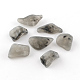 Чип имитация драгоценных камней акриловые бусины X-OACR-R021-M-2