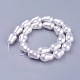 Chapelets de perles de coquille BSHE-L041-05C-3