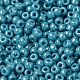 Perles rocailles miyuki rondes SEED-X0055-RR2470-2