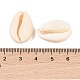 Бусины из натуральных раковин каури BSHE-Q296-1-3