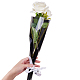 花包装紙シングルバラ包装袋  ミックスカラー  45x4~13cm  20個/カラー  100個/セット PH-ABAG-G008-02-3