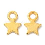 Подвески из сплава в тибетском стиле TIBEP-A123046-G-FF