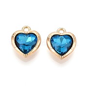 Подвески сплава Rhinestone PALLOY-T092-23G-03