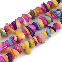 Natural Sea Shell Beads Strands, Dyed, Square Chip, White,  1~3.5x4.5~10x4.5~10mm, Hole: 0.5mm, 16.1 inch~16.9 inch