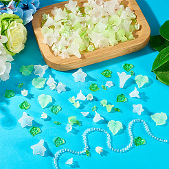 Kits de fabrication de bijoux diy&nbsp;DIY-TA0014-75
