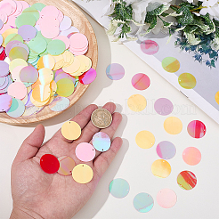 80 g 10 colori pendenti in paillettes in pvc&nbsp;FIND-SC0023-20D