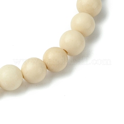 Braccialetti elastici con perline fossili naturali per donne e uomini&nbsp;BJEW-JB11349