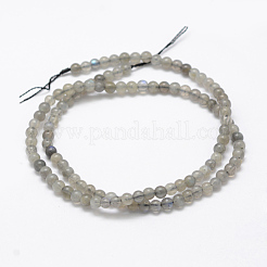 Cuentas labradorita natural hebras&nbsp;G-P322-31-4mm