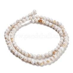 Fili di perle di pietra sintetica e conchiglia trochus assemblati&nbsp;G-B128-08A-01