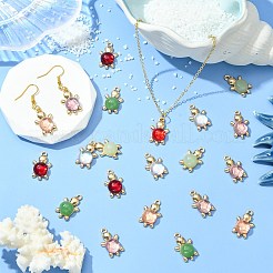 60шт 6 цвета подвески из акрилового сплава&nbsp;FIND-CJ0003-81