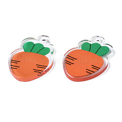 Полупрозрачные акриловые подвески&nbsp;TACR-N013-008