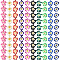 100шт 10 цвета бусины ручной работы из полимерной глины 3d цветок плюмерия&nbsp;CLAY-YW0002-41