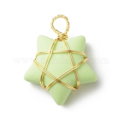 Pendentifs en résine opaque&nbsp;PALLOY-JF01849-01