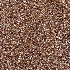 Miyuki Delica Perlen&nbsp;SEED-MY11-DB1221