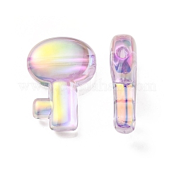 УФ-покрытие Радужные радужные прозрачные акриловые бусины&nbsp;OACR-C007-05B