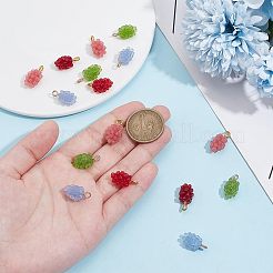 24шт 4 цвета подвески из смолы&nbsp;RESI-PH0002-30