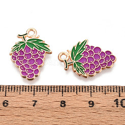 Подвески с эмалью из фруктового сплава&nbsp;ENAM-T022-32I