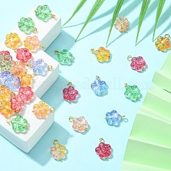 30шт 5 цвета подвески лэмпворк ручной работы&nbsp;PALLOY-CJ0002-66