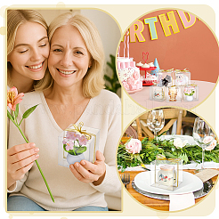 50 шт. складные прозрачные пластиковые подарочные упаковочные коробки&nbsp;CON-PH0003-30